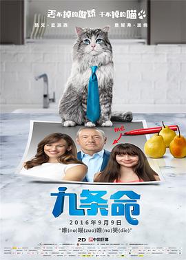 但这个镜像，在这四十年里，碎过一次，又重组了一次。
